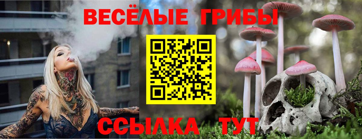 Нефтекамск  закладка  Вход с VPN  Галлюциногенные грибы Magic Shrooms 